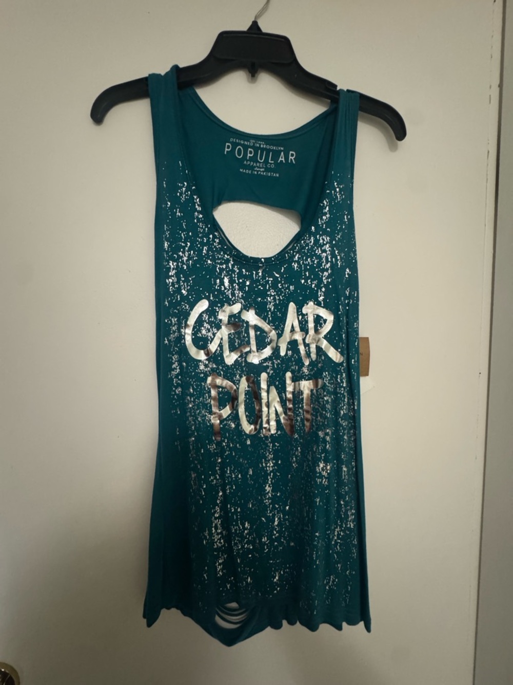 Teal Cedar Point Graphic Tank Top
